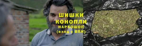 бошки Белокуриха
