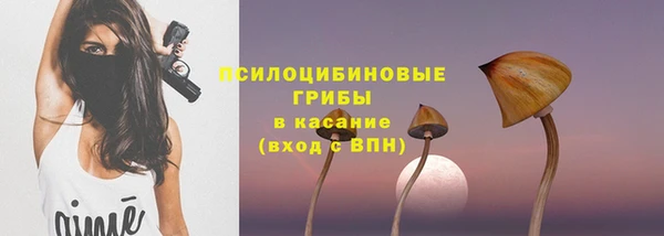 гашик Беломорск