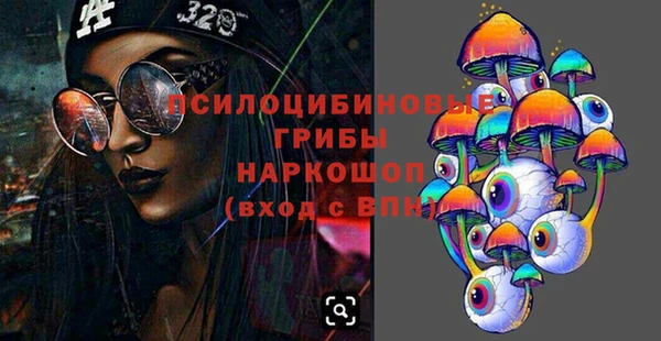 гашик Беломорск