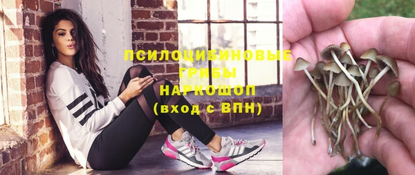 бошки Белокуриха