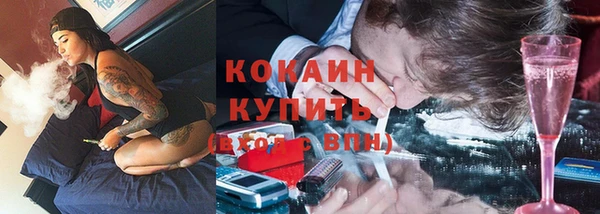 бошки Белокуриха