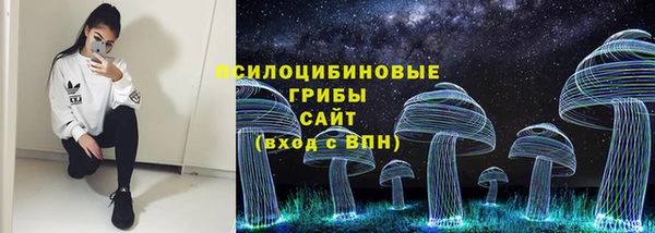 гашик Беломорск