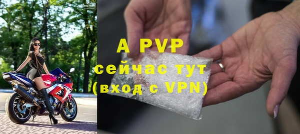 гашик Беломорск