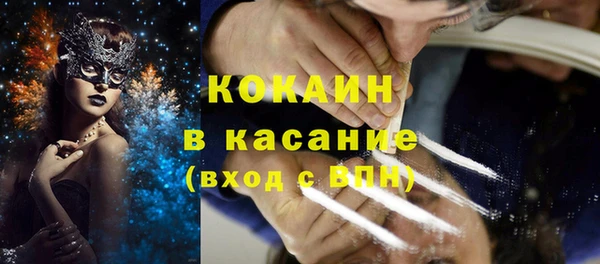 бошки Белокуриха